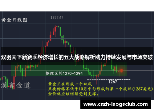 双羽天下新赛季经济增长的五大战略解析助力持续发展与市场突破