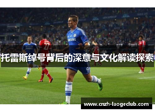 托雷斯绰号背后的深意与文化解读探索