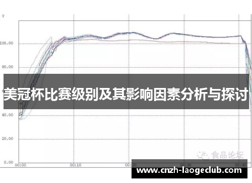 美冠杯比赛级别及其影响因素分析与探讨
