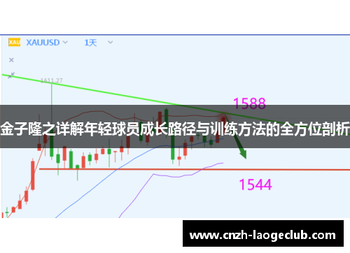 金子隆之详解年轻球员成长路径与训练方法的全方位剖析